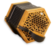 Duet concertina